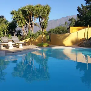 https://villa-don-miguel.in-canary-islands.com